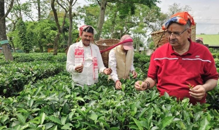 कृषि मंत्री गणेश जोशी ने असम के हाथीकुली चाय बागान का किया अवलोकन, कार्यरत महिला श्रमिकों के साथ किया संवाद