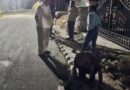 कैबिनेट मंत्री गणेश जोशी ने अनारवाला-मालसी मोटर मार्ग के निर्माण कार्य का देर रात्रि किया निरीक्षण 