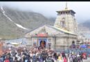 चारधाम यात्रा मार्गों पर घोड़ा-खच्चरों के संचालन के लिए नई एसओपी लागू, क्षमता और निगरानी तय