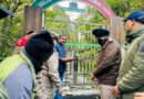 विश्व धरोहर फूलों की घाटी पर्यटकों के लिए खुली, रंग-बिरंगे फूलों से सजी प्रकृति की अद्भुत दुनिया