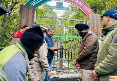 विश्व धरोहर फूलों की घाटी पर्यटकों के लिए खुली, रंग-बिरंगे फूलों से सजी प्रकृति की अद्भुत दुनिया