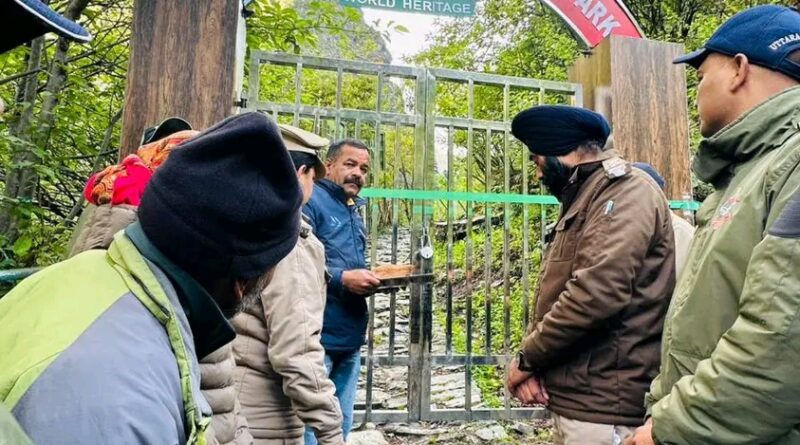 विश्व धरोहर फूलों की घाटी पर्यटकों के लिए खुली, रंग-बिरंगे फूलों से सजी प्रकृति की अद्भुत दुनिया