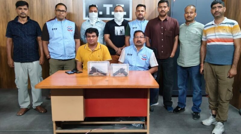 फर्जी शस्त्र लाइसेंस गिरोह पर STF का शिकंजा, दो लोगों को रुद्रपुर से किया गिरफ्तार