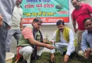 हरेला पर भाजपा का महाअभियान, उत्तराखंड में लगेंगे छह लाख से अधिक पौधे