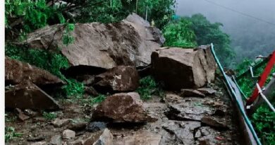 जंगलचट्टी क्षेत्र में केदारनाथ पैदल मार्ग पर गिरे बोल्डर, यात्रा पर लगी अस्थायी रोक