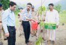 हरेला पर्व पर हरियाली का संकल्प: जिलाधिकारी डॉ0 आशीष चौहान ने किया वृक्षारोपण, कहा- पौधारोपण को बनाएं जन-आंदोलन