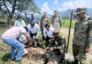 पौधे नहीं, भविष्य की हरियाली तैयार कर रहा एमडीडीए, रायपुर आर्मी फायरिंग रेंज में किया फलदार और जड़ी-बूटी वाले पौधों का रोपण